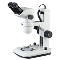 Bestscope BS-3030b Zoom Microscopio Estéreo